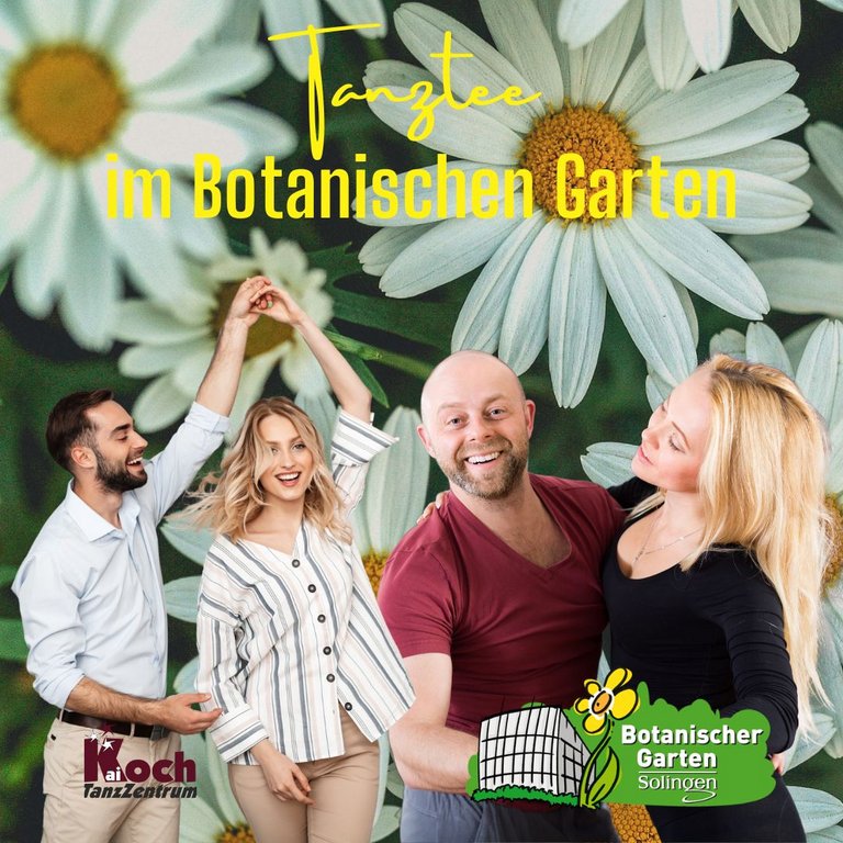 Bild zu Open Air Tanztee